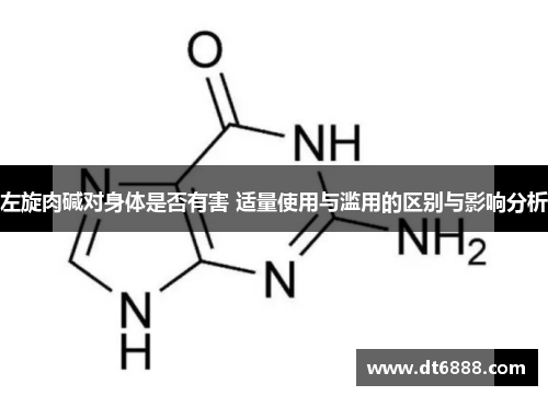 左旋肉碱对身体是否有害 适量使用与滥用的区别与影响分析